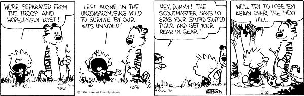 Calvin 192.gif